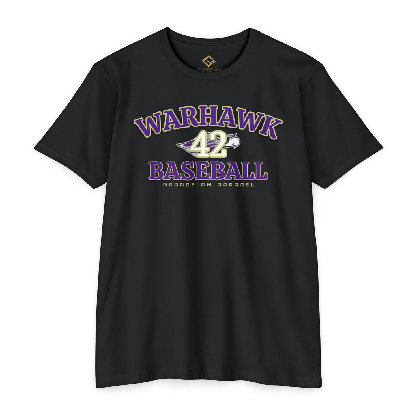 42 - Sam Polyock DIII College Baseball Player