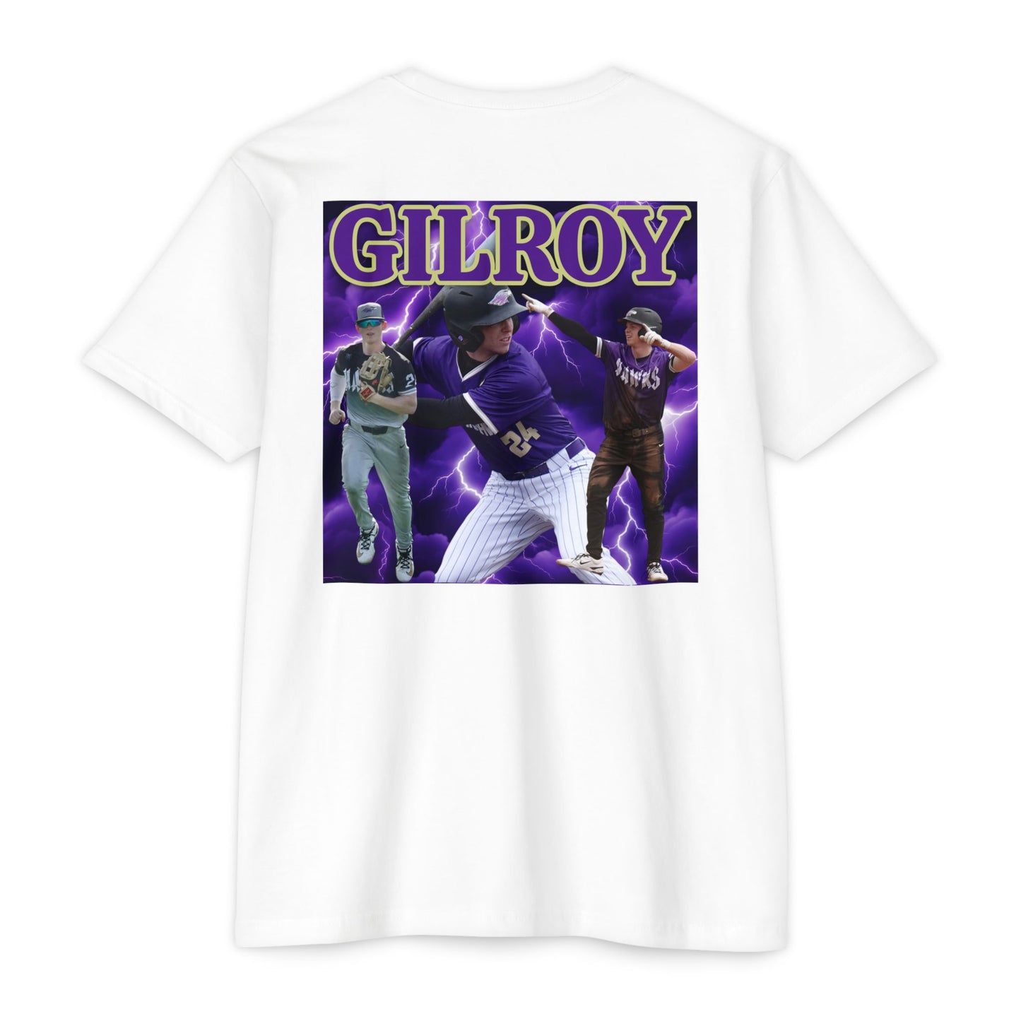 24 - Brady Gilroy DIII College Baseball Player