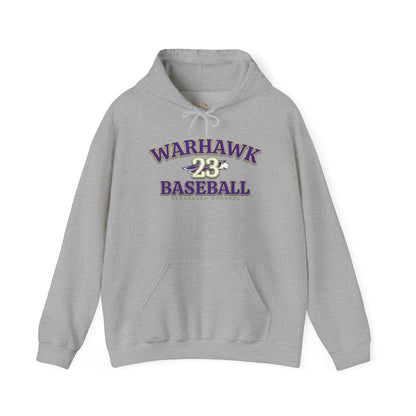 23 - Lincoln Ascher Hoodie