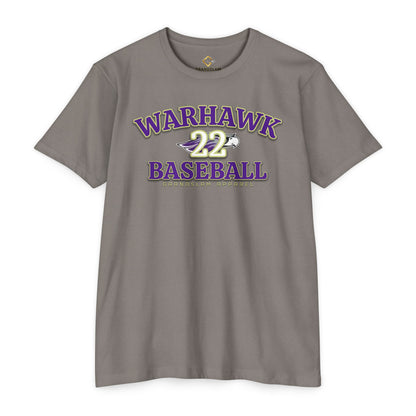 22 - Cole Schwochow DIII College Baseball Player
